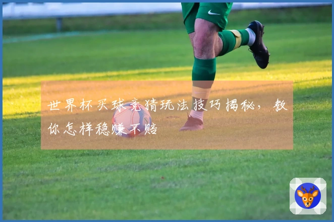 世界杯买球竞猜玩法技巧揭秘，教你怎样稳赚不赔