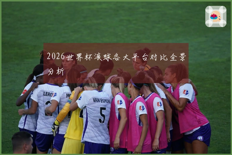 2026世界杯滚球各大平台对比全景分析