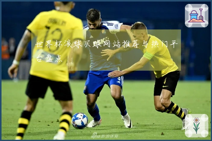 世界杯滚球买球网站推荐与热门平台盘点