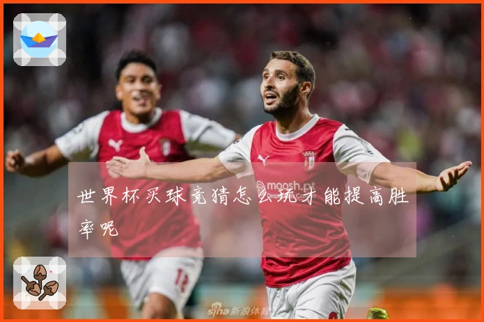 世界杯买球竞猜怎么玩才能提高胜率呢