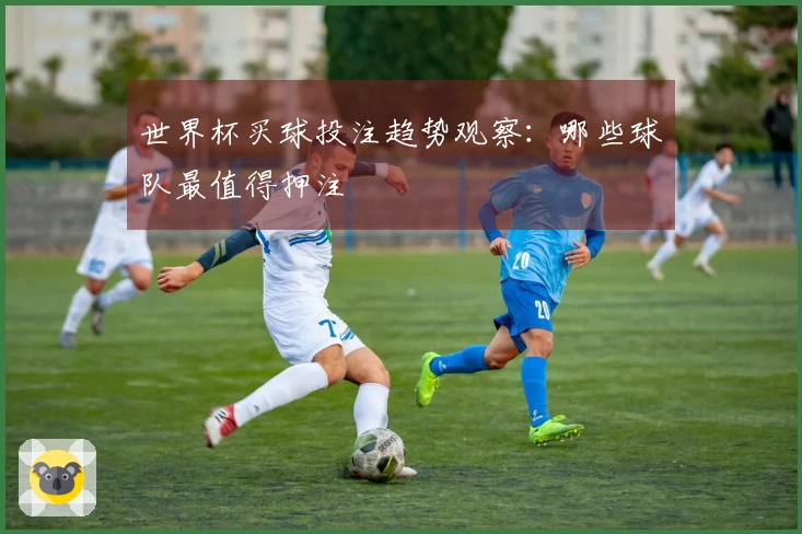 世界杯买球投注趋势观察：哪些球队最值得押注