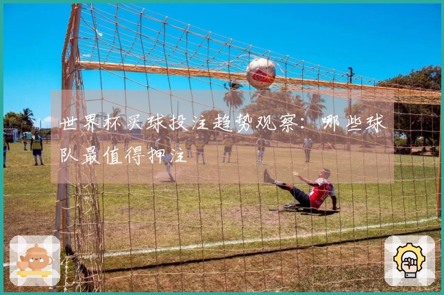 世界杯买球投注趋势观察：哪些球队最值得押注