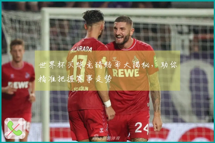 世界杯买球竞猜赔率大揭秘，助你精准把握赛事走势
