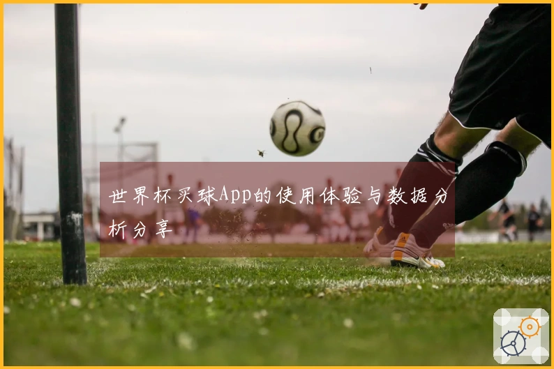 世界杯买球App的使用体验与数据分析分享