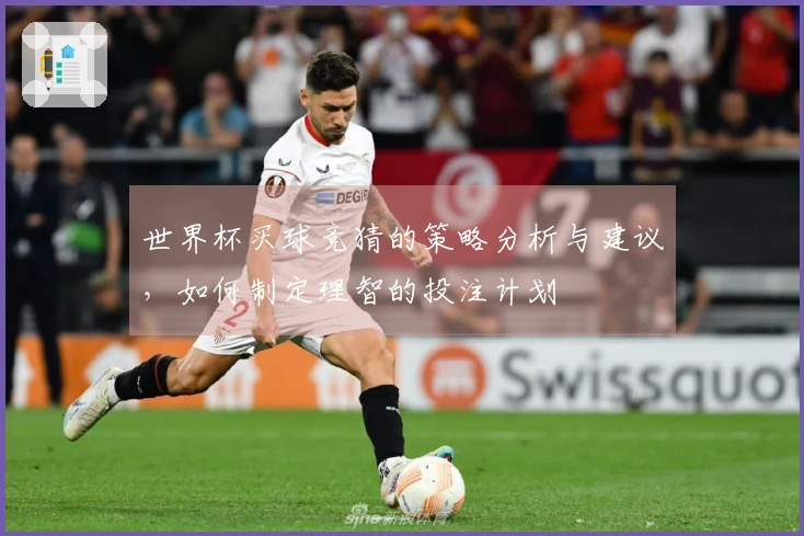 世界杯买球竞猜的策略分析与建议，如何制定理智的投注计划