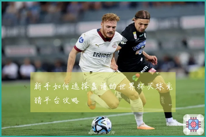 新手如何选择靠谱的世界杯买球竞猜平台攻略