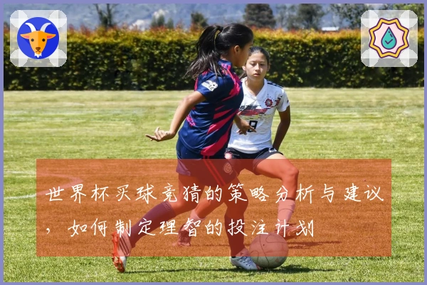 世界杯买球竞猜的策略分析与建议，如何制定理智的投注计划