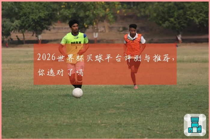 2026世界杯买球平台评测与推荐，你选对了吗