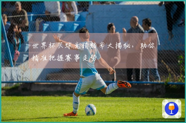 世界杯买球竞猜赔率大揭秘，助你精准把握赛事走势