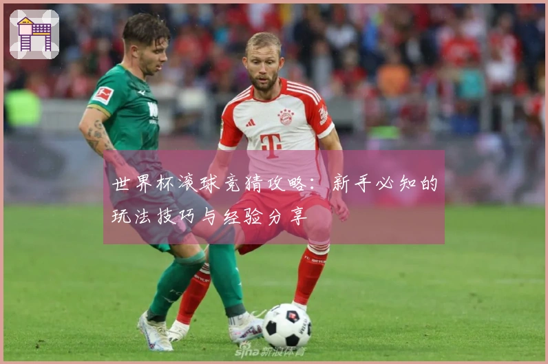 世界杯滚球竞猜攻略：新手必知的玩法技巧与经验分享