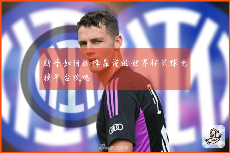 新手如何选择靠谱的世界杯买球竞猜平台攻略